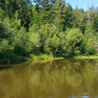 Miasto Wisła i najbliższe okolice apartamentu