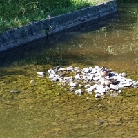 Przykładowa trasa na Baranią Górę