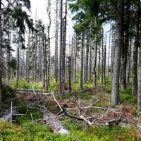 Barania Góra okiem naszych gości